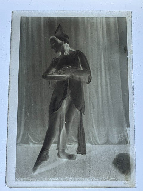 vintage glass plate negatives