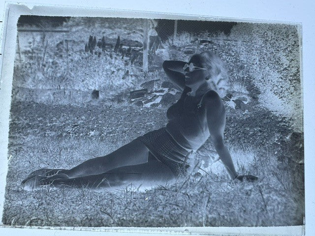vintage glass plate negatives