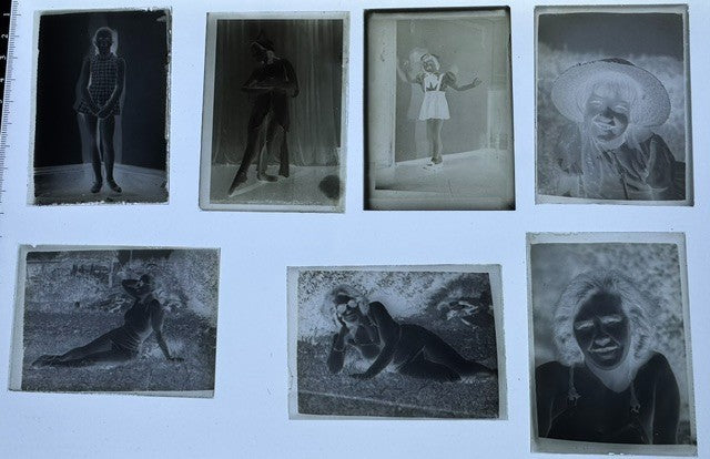 vintage glass plate negatives
